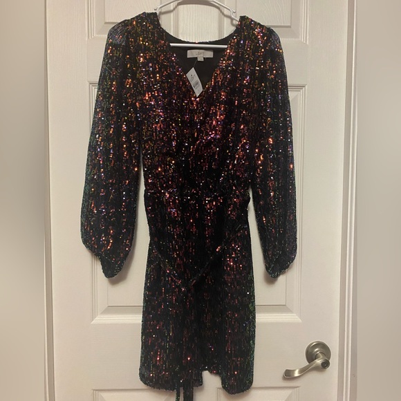 Sequins Women’s Dress Loft size Large - Picture 2 of 5